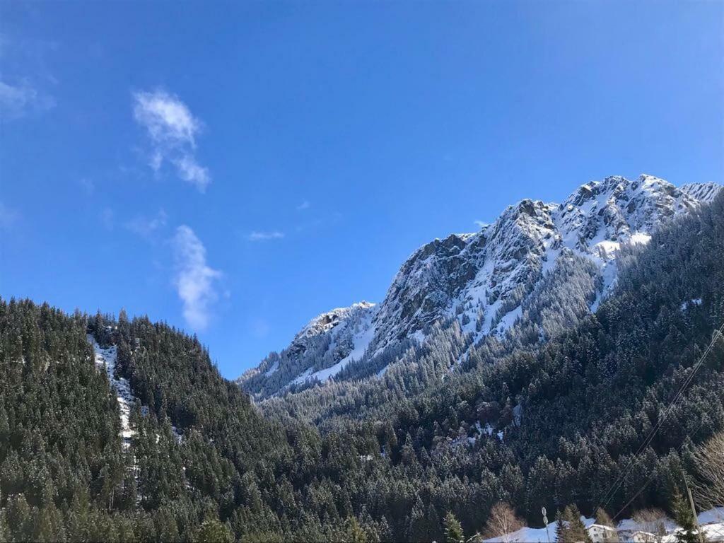 Alpinappartements Stoeckl Partenen Esterno foto
